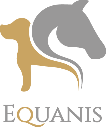 Equanis